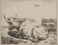 TvB G 0482
<br/>
Liggende koe
<br/>
<em>Bije, Marcus de (1639-ca. 1690)</em>